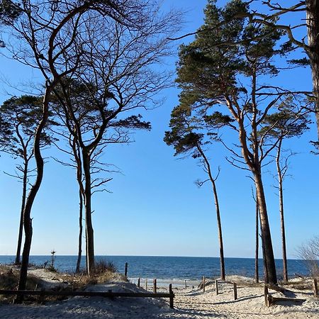Ferienwohnung Strandkoje Dierhagen Exterior foto
