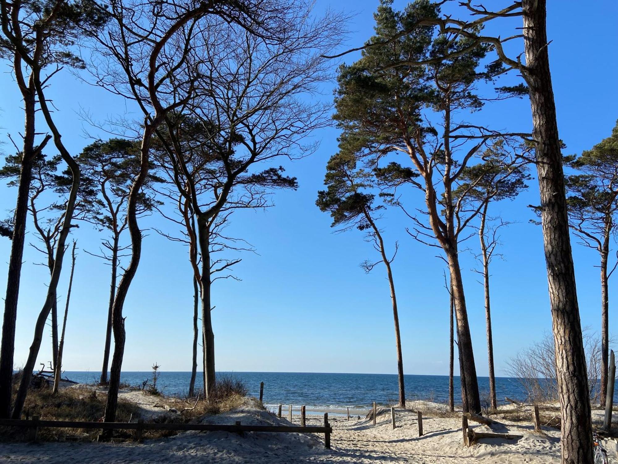 Ferienwohnung Strandkoje Dierhagen Exterior foto