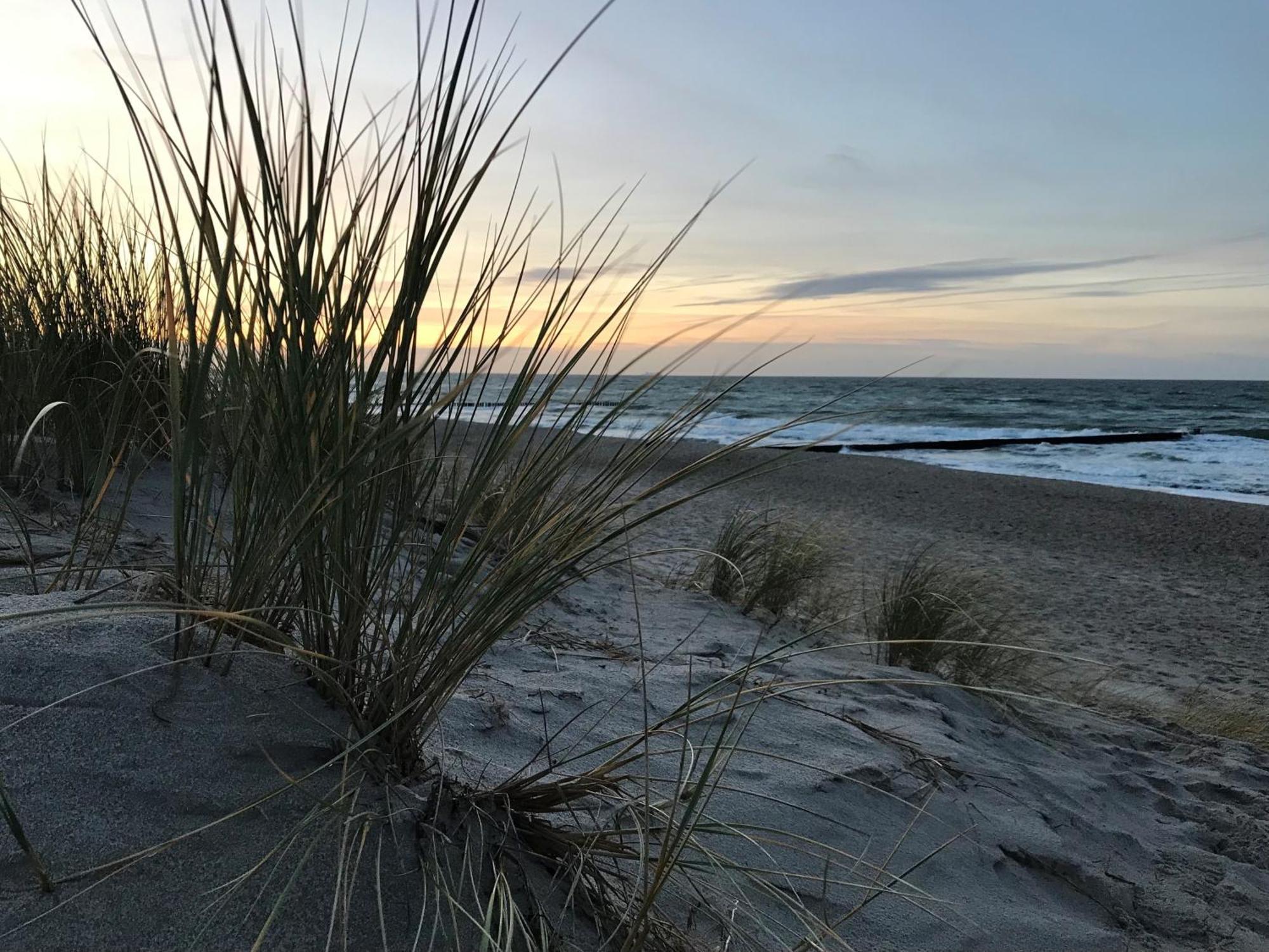 Ferienwohnung Strandkoje Dierhagen Exterior foto